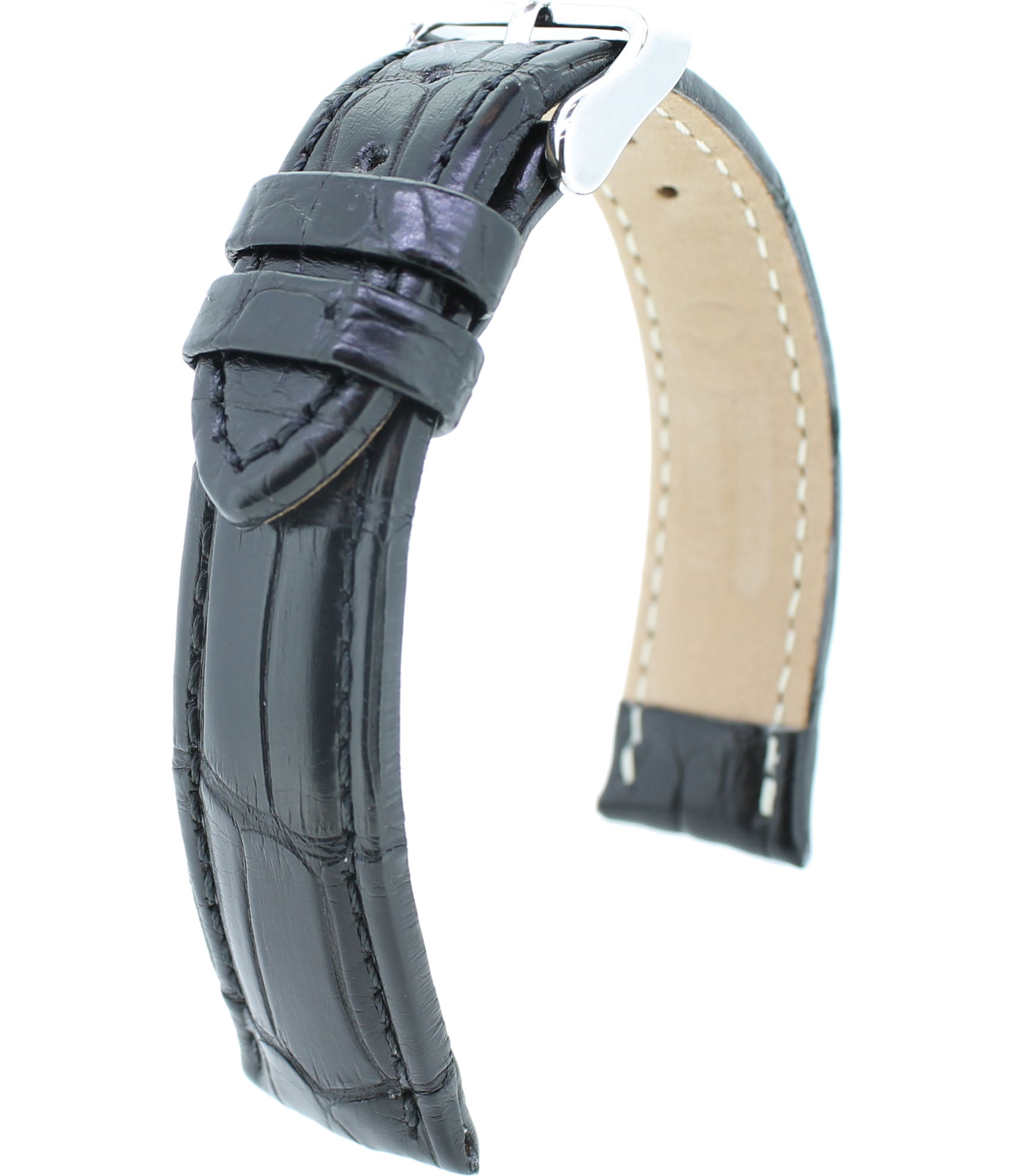 Alligator echt M