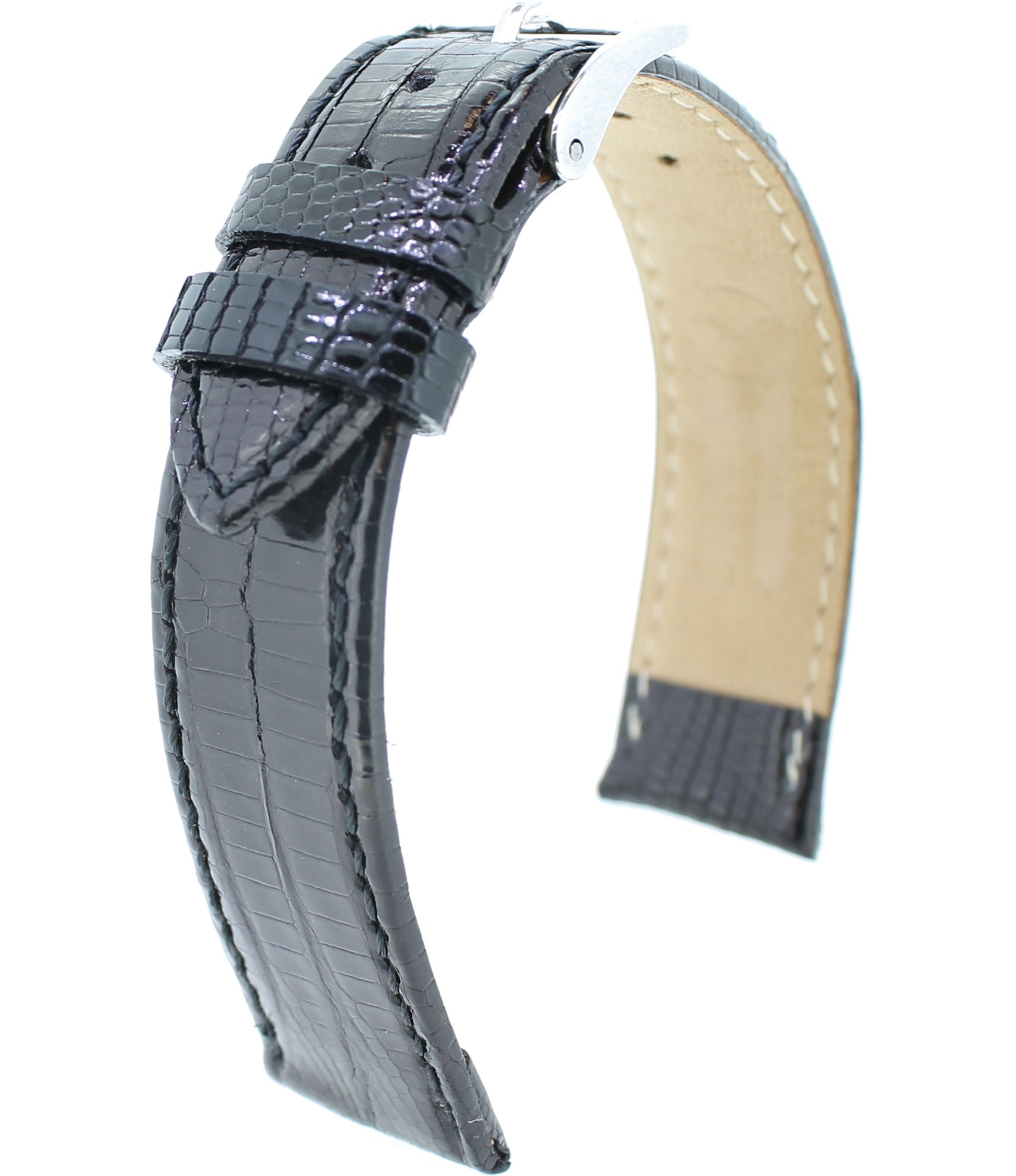 Téju-Eidechse echt S