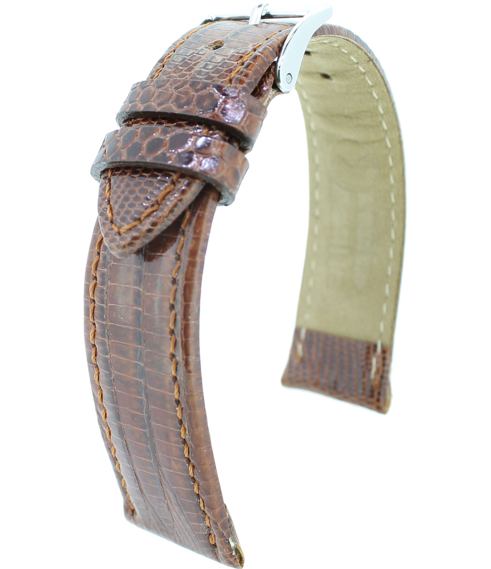 Téju-Eidechse echt M