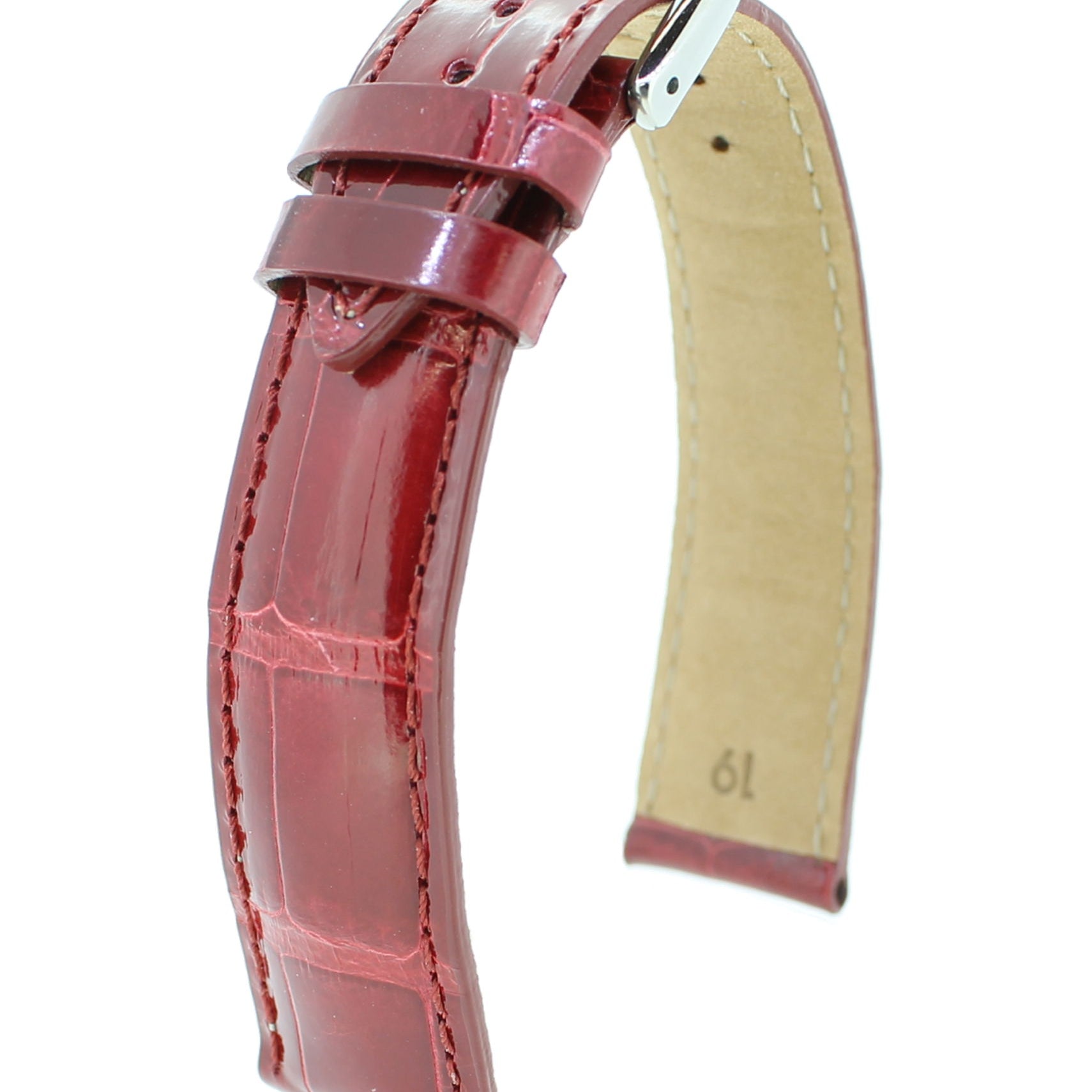 Alligator Brillant RF M