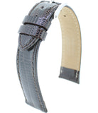 Téju-Eidechse echt S