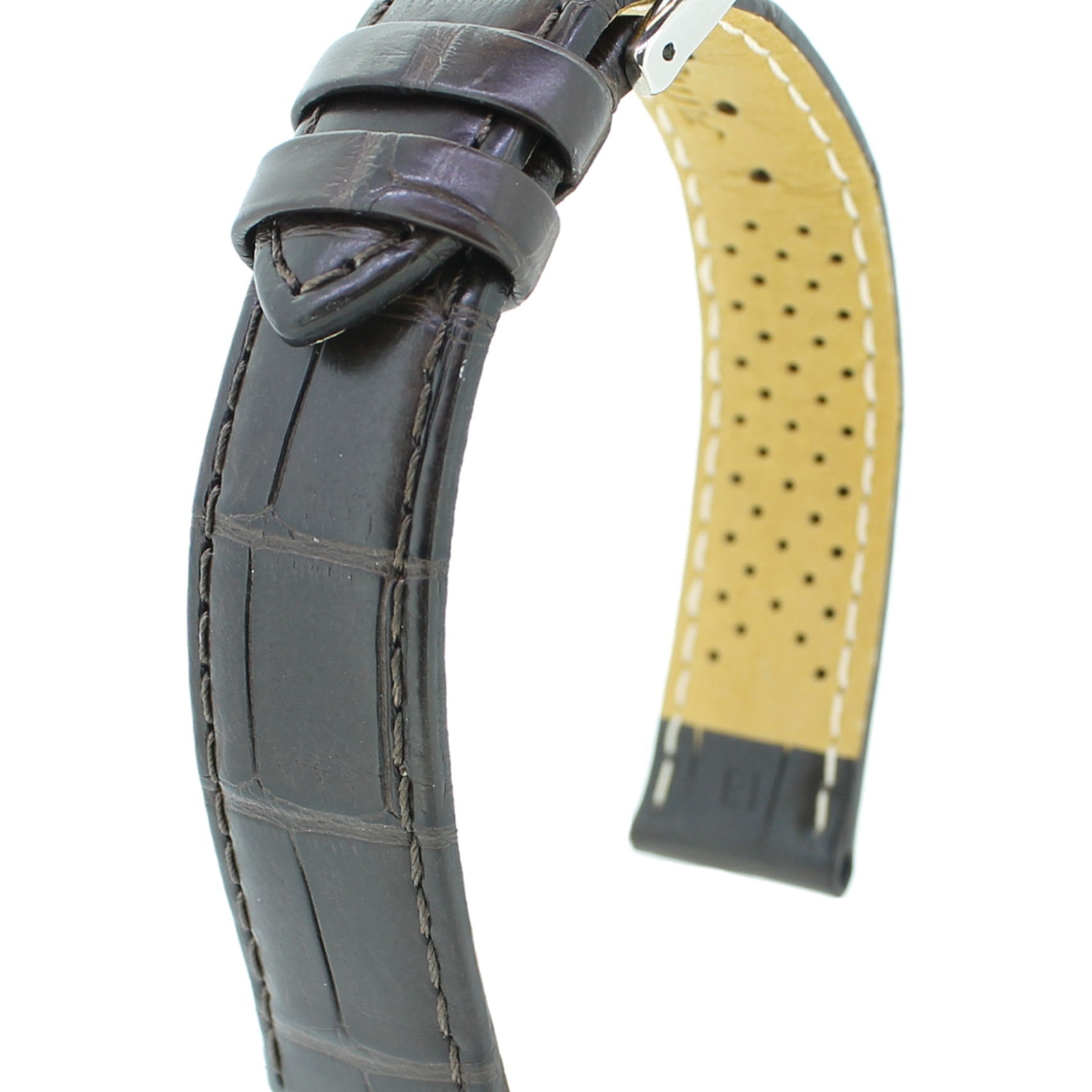 Alligator Safari RF S