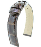 Alligator Brillant RF M