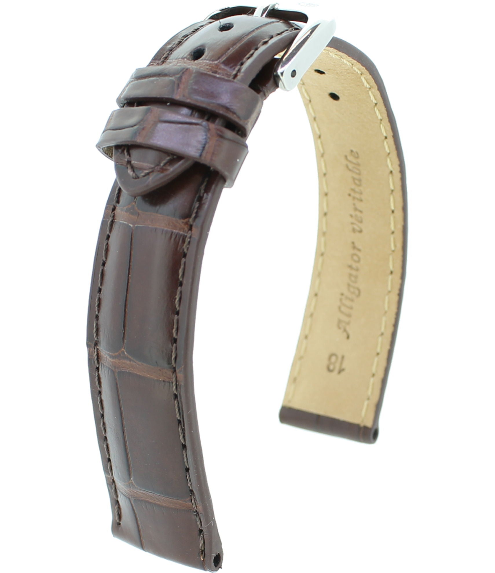 Alligator Safari RF M