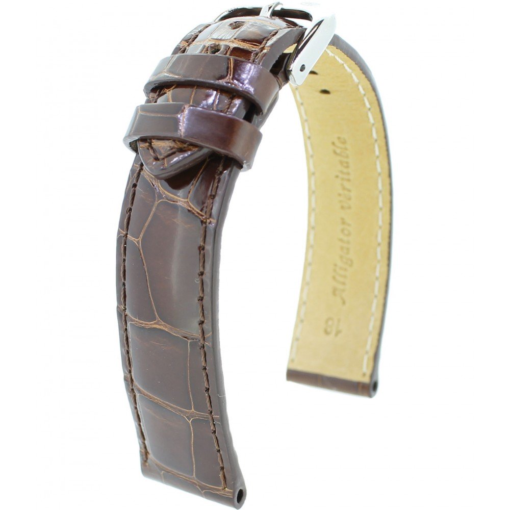 Alligator Brillant RF M