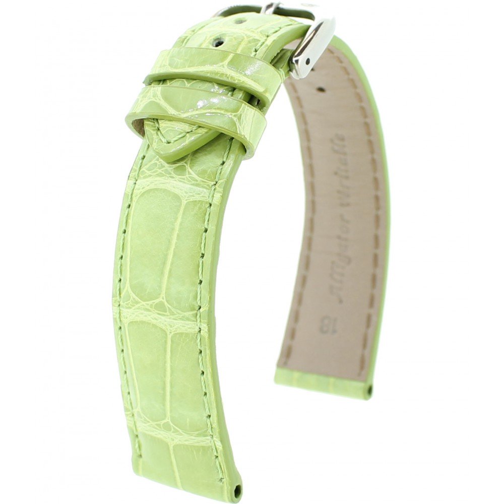 Alligator Brillant RF M