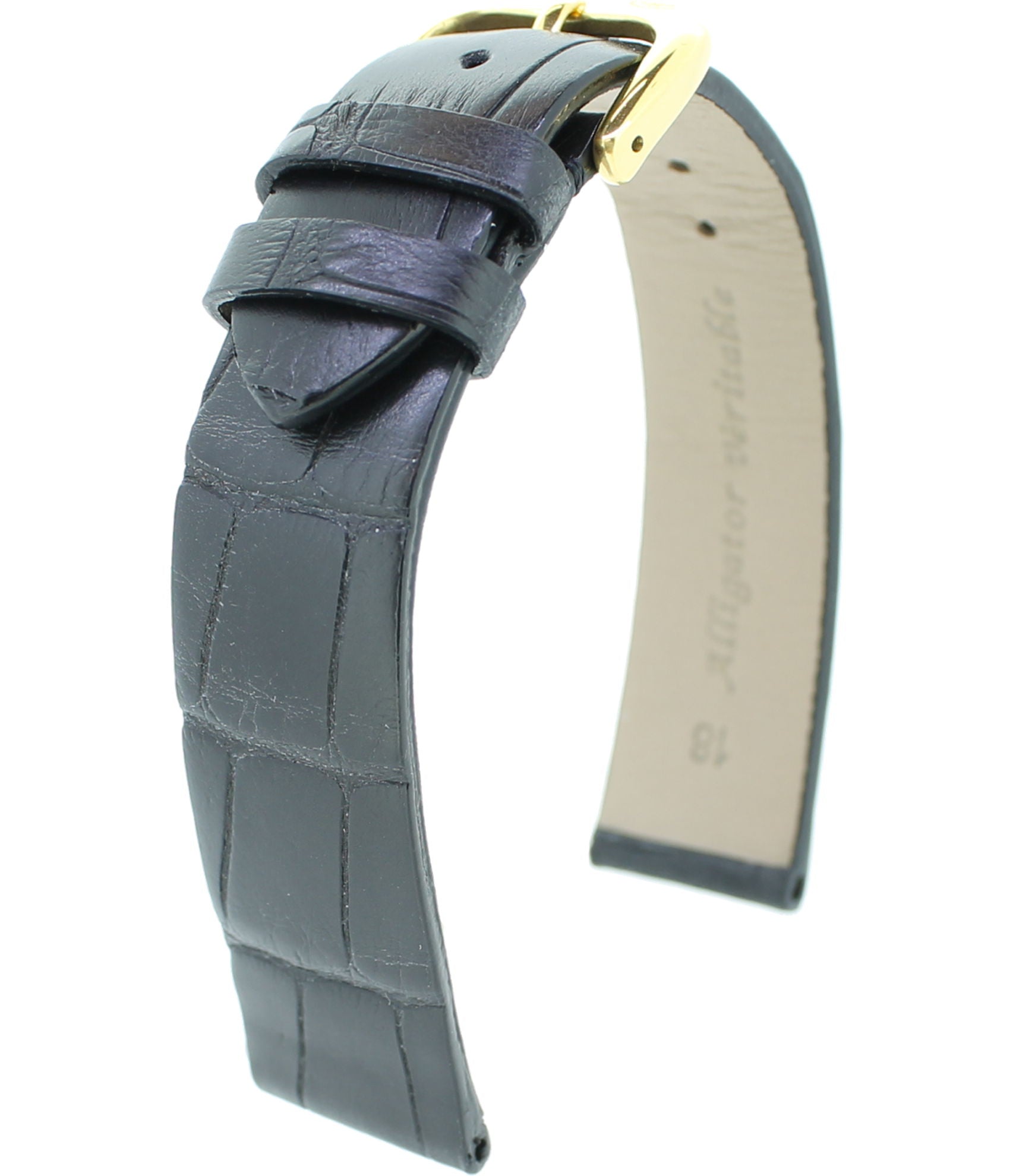 Alligator Safari ON RF M