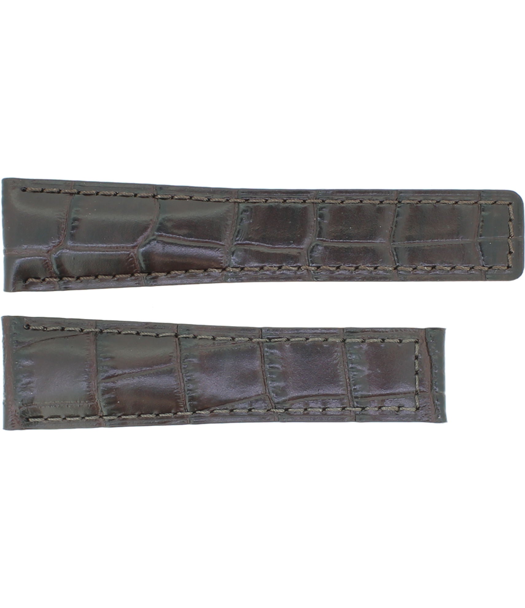 Alligator Decor Carrera RF M