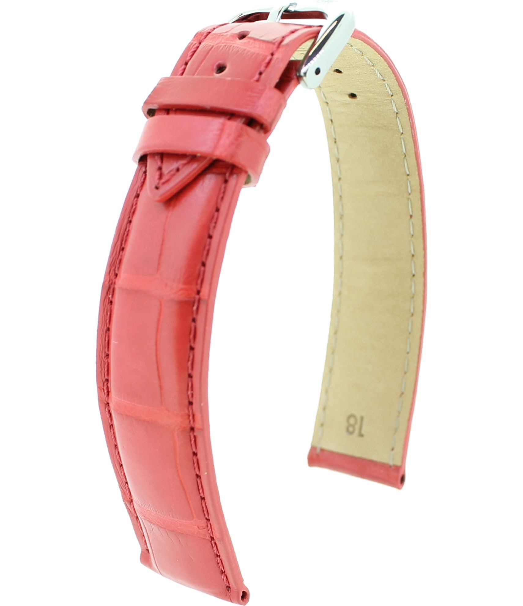 Alligator Safari RF M